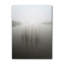 " Reeds In The Mist "-23720720