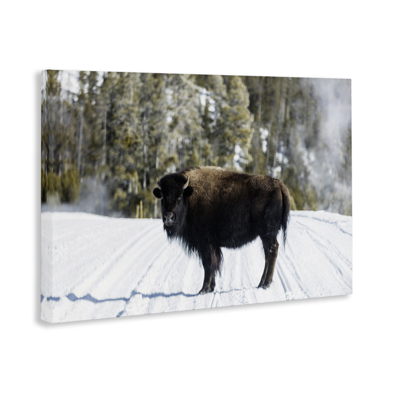 Art mural sur toile Bison on Snowy Track, design par PIDDIX, H 16 po x l 24 po