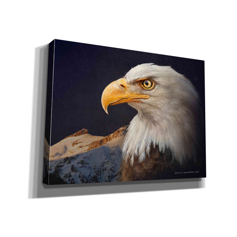 «Bald Eagle Study» par - Impression sur toile tendue