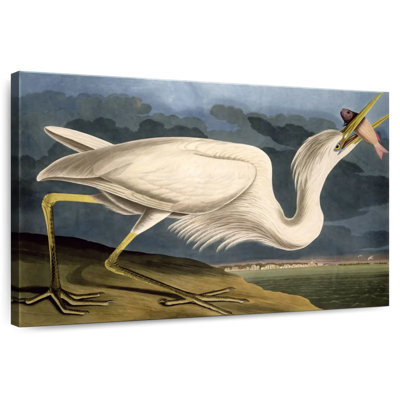 Grand héron blanc en lis d'eau 1835