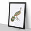 Peacock-Pheasant by John Edward Gray - Picture Frame Painting Print-55582873-55582878