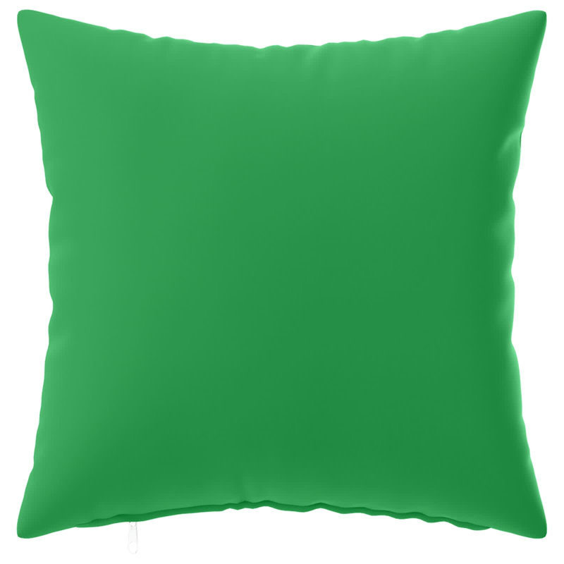 Green Cushion Cover