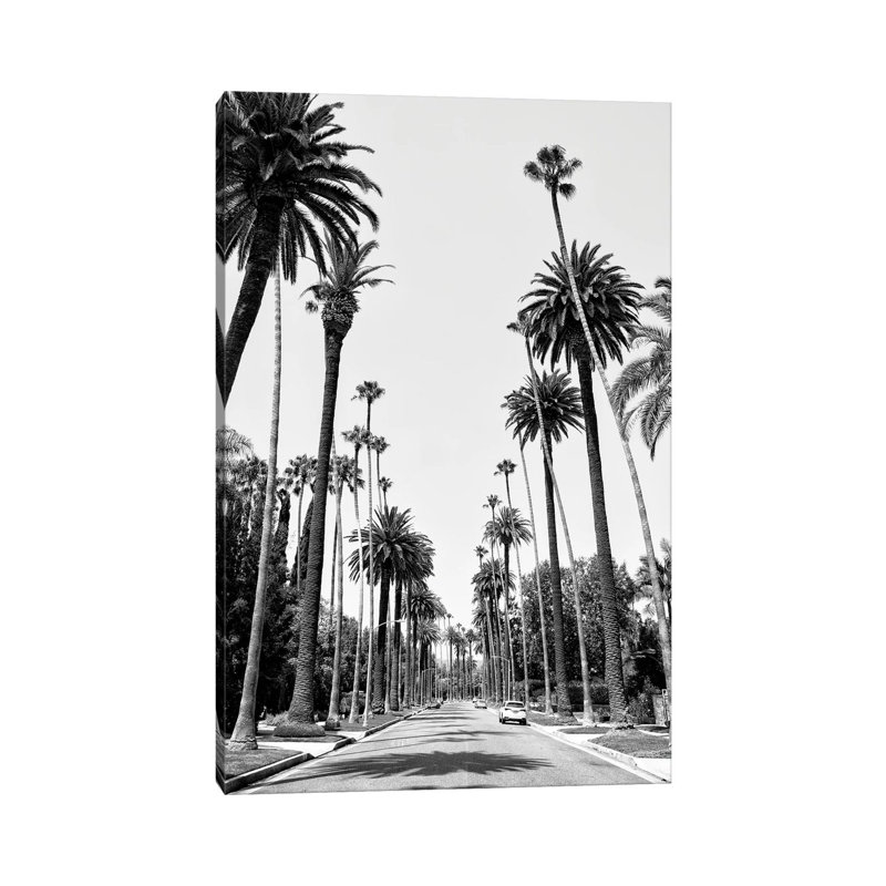 Beverly Hills Palm Alley II by Philippe Hugonnard - Wrapped Canvas Print, 20.32 cm H x 30.48 cm W
