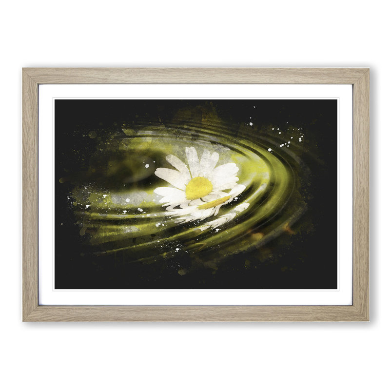 White Daisy Vol.4 - Picture Frame Graphic Art, Oak Framed, 36cm H x 48cm W x 2cm D