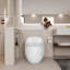 Modern Ceramic Toilet With Egg Shape - Glossy White, 1.28 Single Flush, Efficient Water Usage White Flush Shape, , Comfortable Seat