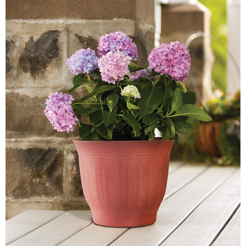 Jardinière en plastique Carmer, H 12,75 po x l 15,5 po x P 15,5 po, Terre foncé