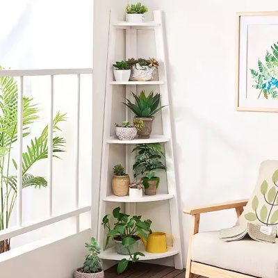 Solid Wood 5 Tier Plant Stand