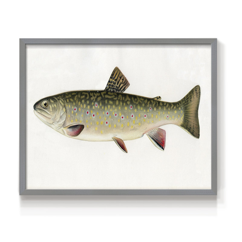 Grande bouche noire, basse, impression encadrée, Gris, H 22 po x l 28 po
