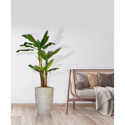 Plante de bananier artificielle 60 po Panama