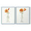 Vase californien I-Premium, impression encadrée prête à accrocher - aucun clou requis - aucun clou requis-482366424-482366427