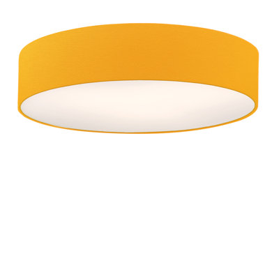 Parvin Flush Mount