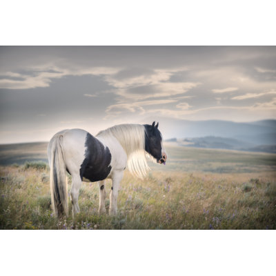 Gypsy Beauty by PHBurchett - Wrapped Canvas Photograph