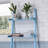 5-Tier Ladder Shelf