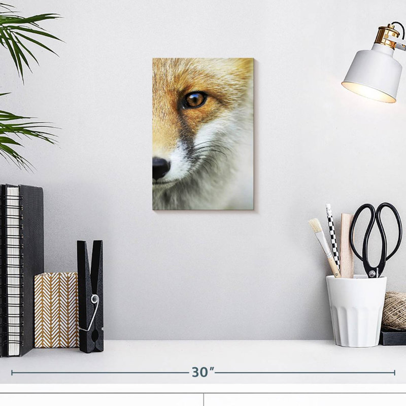 Le regard d'un renard, H 12 po x l 8 po