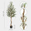 Arrangement