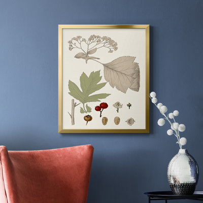 Leaves & Berries II Premium Framed Canvas - Ready to Hang