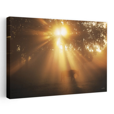 Magic Of The Morning - Contemporary Nature Sunrise Sunlight Art