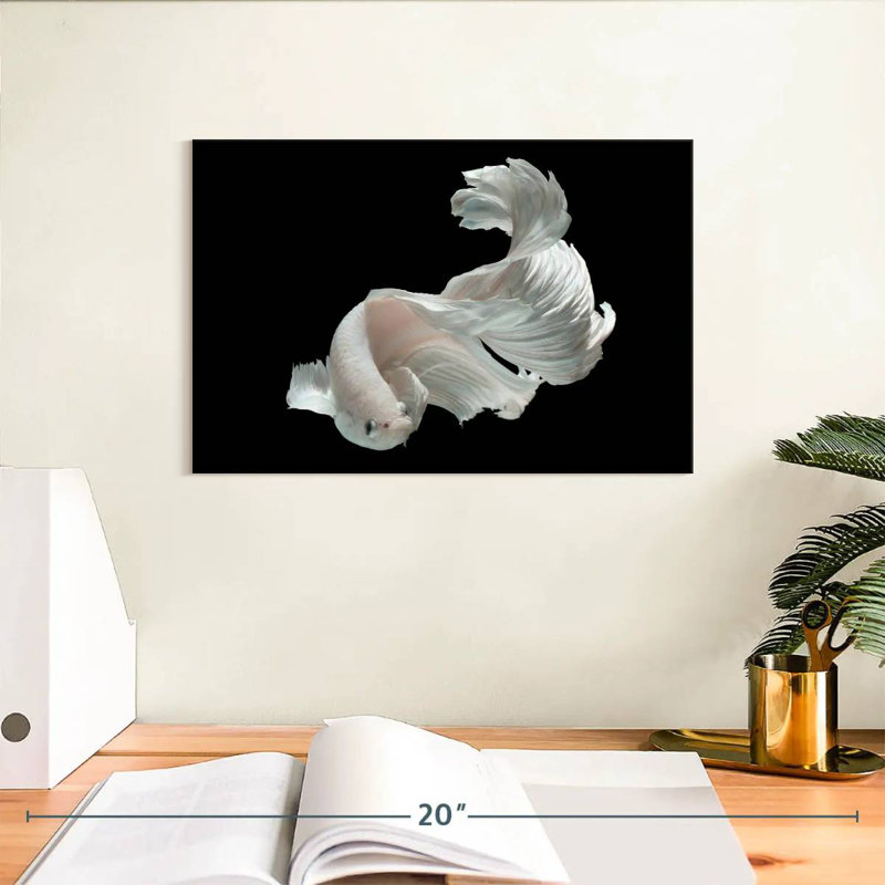 Brampt White Betta Fish, 8" H x 12" W