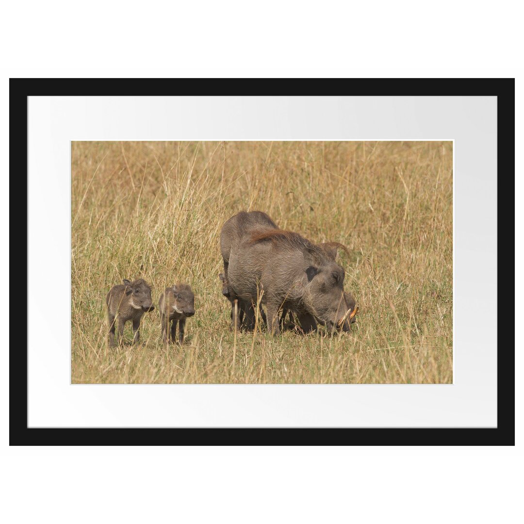 Gerahmtes Poster Warzenschweinfamilie Savanne