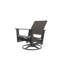 Wexler Outdoor Swivel Lounge Chair-1102391100-1099678803
