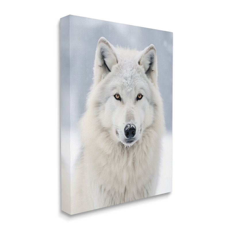 «White Wolf In Snow On Canvas» par Ray Powers, reproduction, H 20 po x l 16 po x P 1,5 po