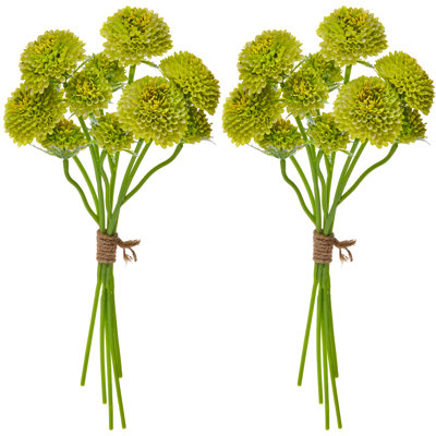 Ensemble de 14 po Scabiosa