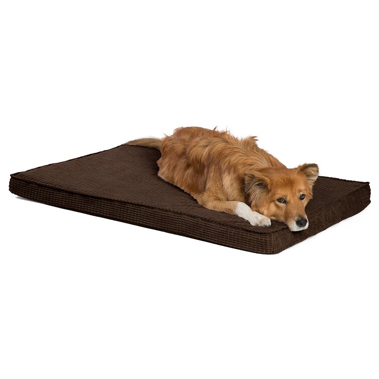 Best Friends by Sheri Orthopedic Floor Mat Dog Bed with Removable