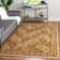 Chimeng Oriental Indoor Rug