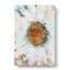 A White Daisy In Abstract - Wrapped Canvas-55301457