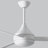 Donaire 52'' Ceiling Fan with LED Lights-297934723-315694813