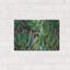 «Succulents II» par Dennis Frates-2053283787