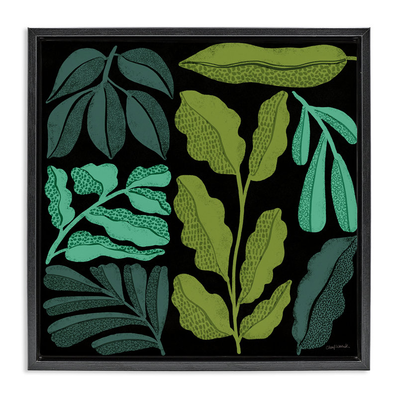 «Plant Sprig Collage» par Cheryl Warrick, Cadre flottant noir de jais, H 18 po x l 18 po