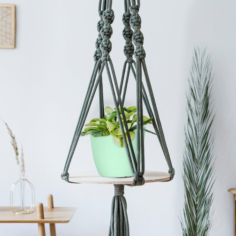 Pots à plantes d'intérieur avec drainage, Menthe
