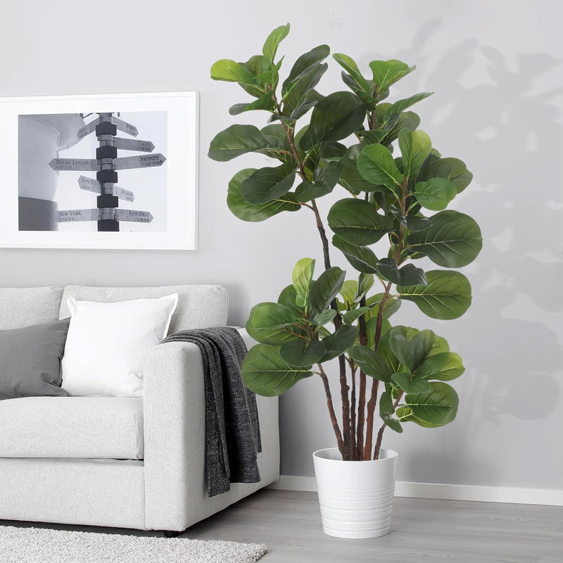 47cm Plant