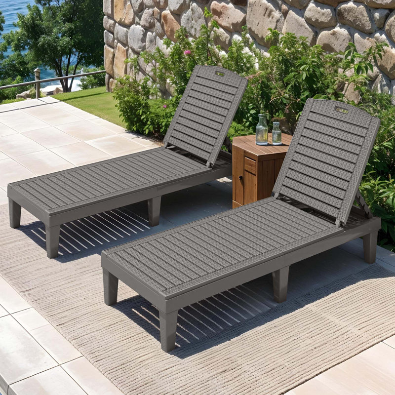 Ason Outdoor Resin Adjustable Chaise Lounge Set, Gray