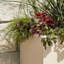 Argentine Trough Planter-94137286