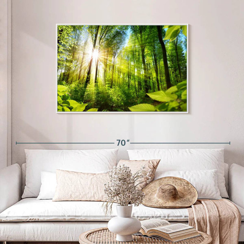 Forêt ensoleillée, Cadre flottant blanc, 43 po x 29 po