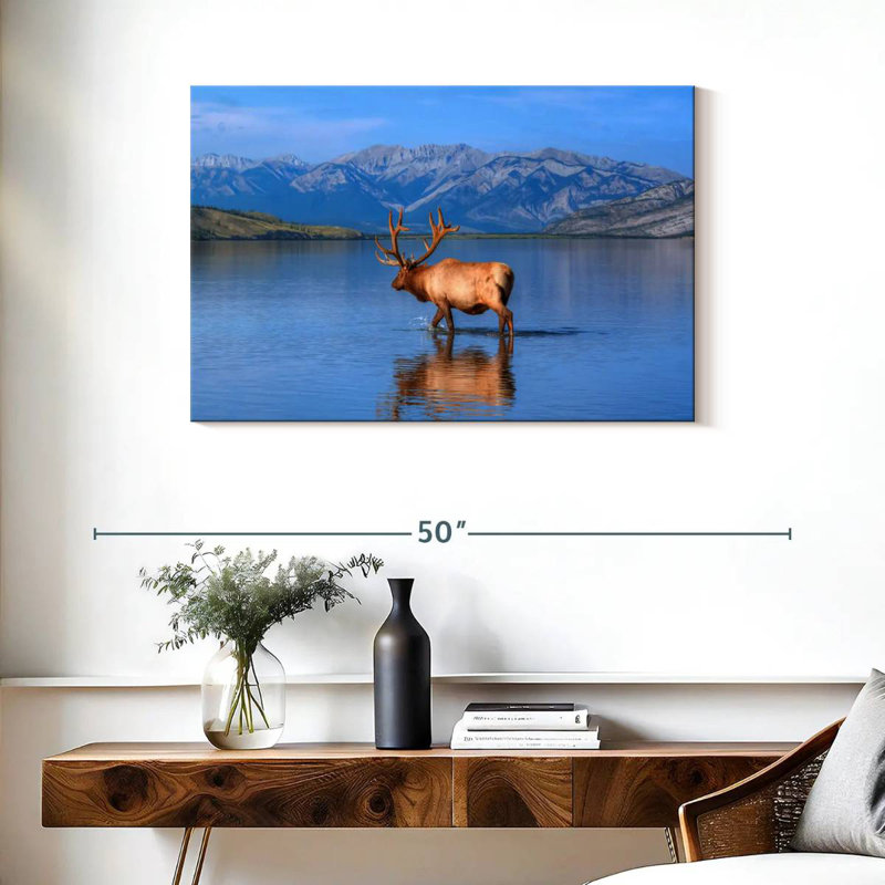 Élan du lac Jasper, H 24 po x l 36 po