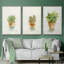 Succulent I, encadré sur toile, 3 pièces-163068308-163068309
