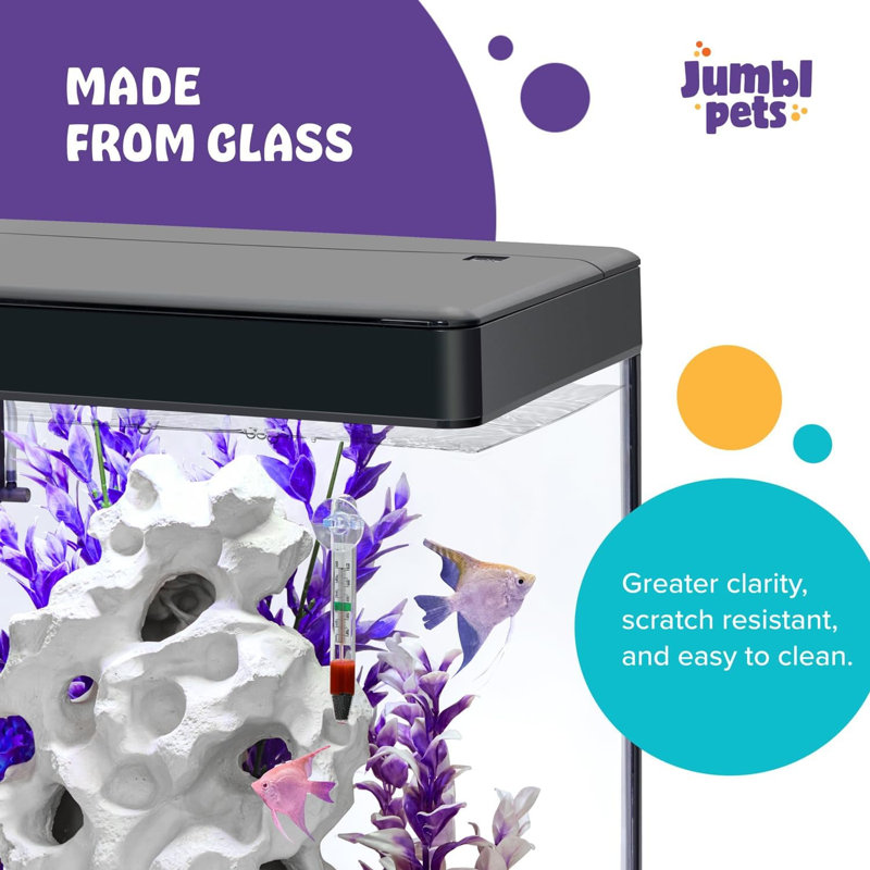 Aquarium Dereyon, 21 gallons (H 19,7 po x l 12,8 po x P 24 po)