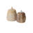  Sweet Birch Canister-341322536