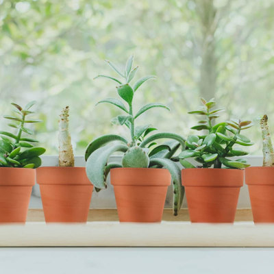3" Red Terracotta Pots 22-pack With Drainage