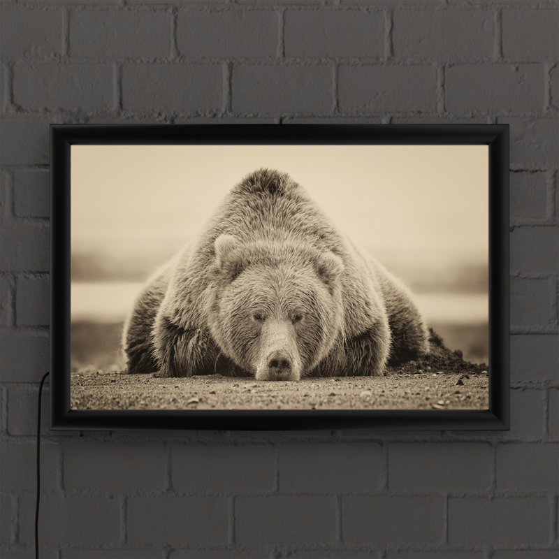 « Deep Sleep » par PHBurchett-reproduction de photo sur toile encadrée