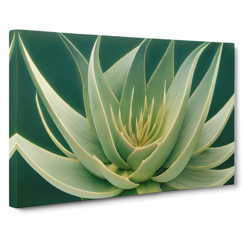 Beguiling Aloe Vera Plant - Wrapped Canvas, 40cm H x 60cm W x 3cm D