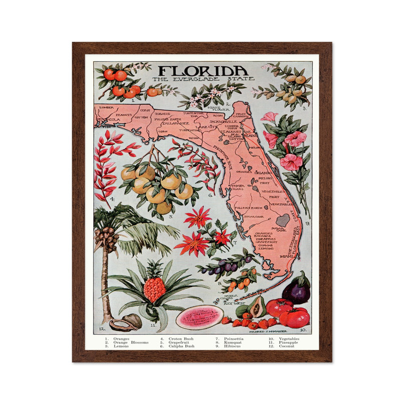 Floride - État de Everglade, Affiche, H 12 po x l 16 po, Encadrement brun