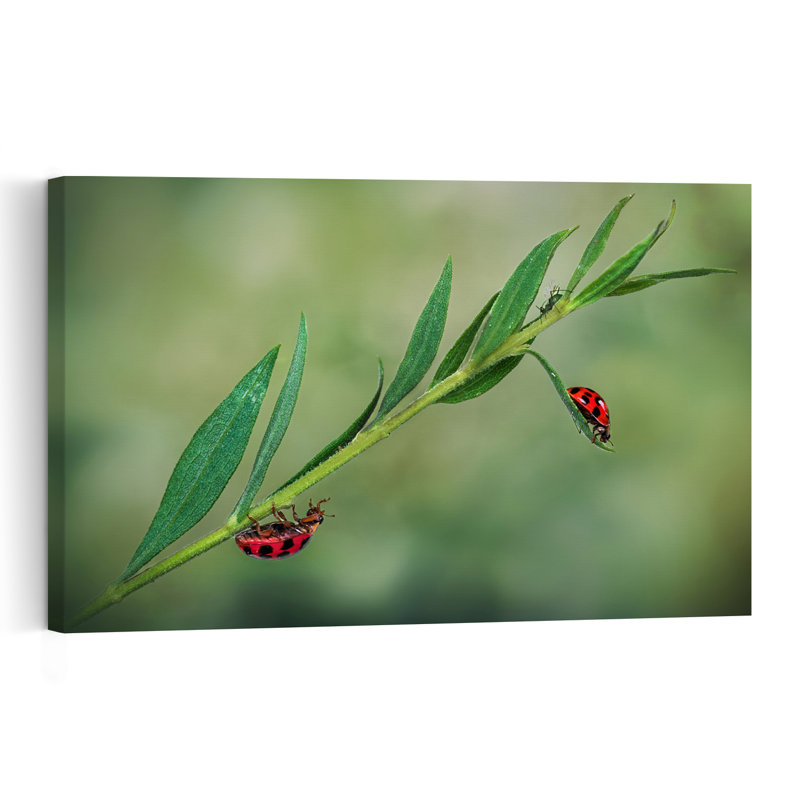 Lively Ladybugs On Green Vibrant Abstract Ladybug Forest Nature Wall Art Print 1 Piece Wrapped Canvas Wall Art