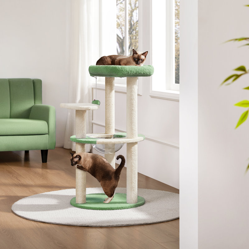 Gillispie Cat Tree with Clear Bowl and Sisal Covering Scratching Posts , Army Green/Beige