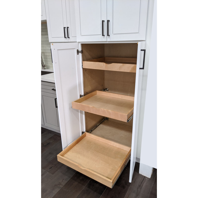 Daiona Solid Wood Pull-Out Drawer Box – 21" Deep Cabinet Organizer in Multiple Widths Out Tray with Brackets, 21" W