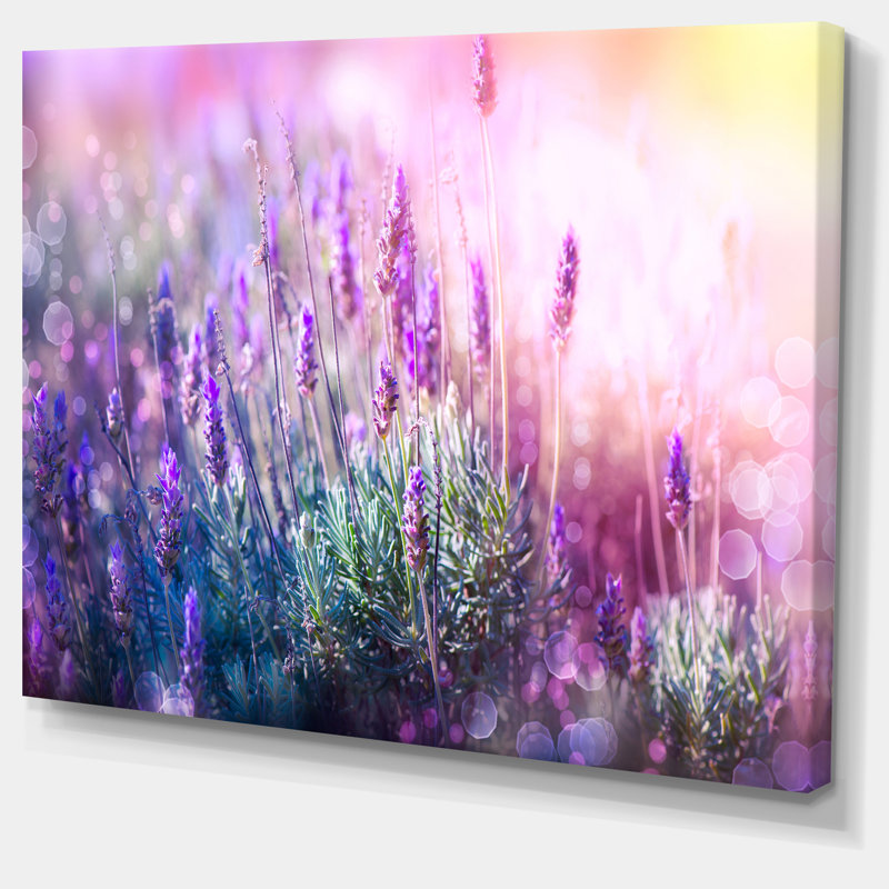 «Growing and Blooming Lavender», reproduction d'impression, H 20 po x l 40 po x P 1 po, Toile tendue