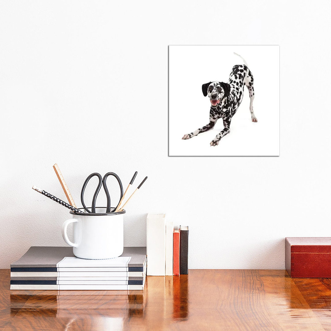 Verspielter dalmatinischer Hund mit Verbeugung von Susan Richey - Galerie-verpackte Leinwand Giclée